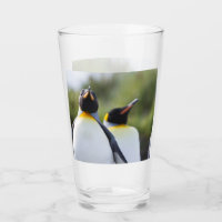 Fotografía de los pingüinos del rey orgulloso