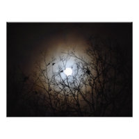 Fotografía de Luna Llena