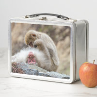 Fotografía de mono, mono macaco japonés
