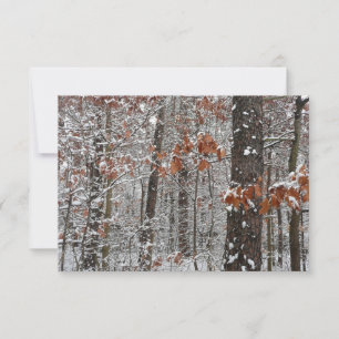 Fotografía de naturaleza invernal de robles cubier
