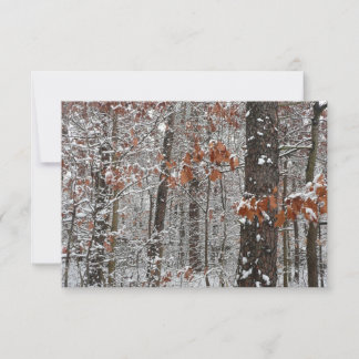 Fotografía de naturaleza invernal de robles cubier