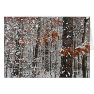 Fotografía de naturaleza invernal de robles cubier