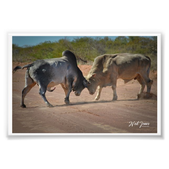 Fotografía de Neil Jones - Rey de la carretera. (Frente)