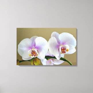 Fotografía de orquídeas exóticas sobre arte de lie