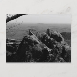 Fotografía de paisajes forestales en postal estánd