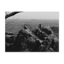 Fotografía de paisajes forestales en postal estánd