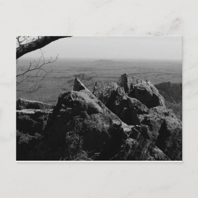 Fotografía de paisajes forestales en postal estánd (Anverso)