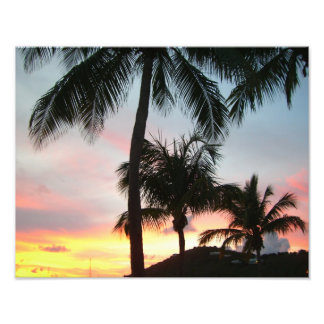 Fotografía de paisajes tropicales de palmas de sol