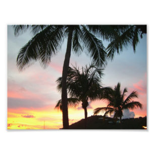 Fotografía de paisajes tropicales de palmas de sol