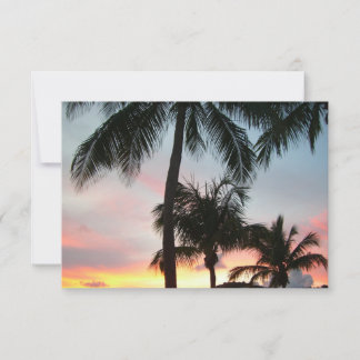 Fotografía de paisajes tropicales de palmas de sol