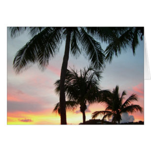 Fotografía de paisajes tropicales de palmas de sol
