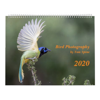 Fotografía de pájaro de Tom Spine, Calendario 2020