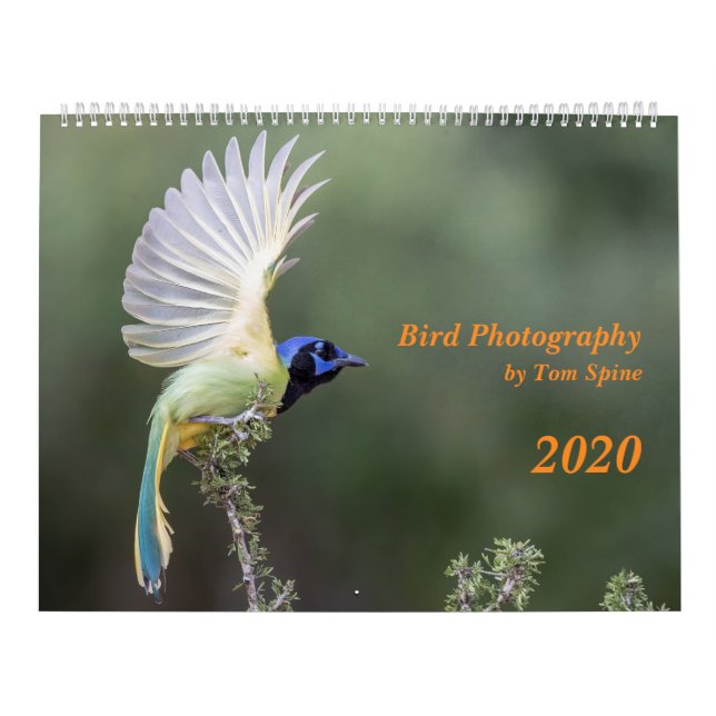 Fotografía de pájaro de Tom Spine, Calendario 2020 (Tapa)