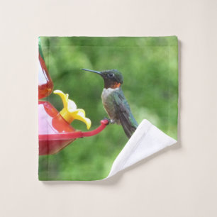 Fotografía de pájaro húmedo con trompetas de rubí