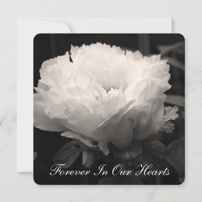Fotografía de Peony Floral 2 Invitación funeraria (Anverso)