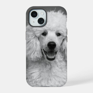 Fotografía de perro canino negro y blanco personal