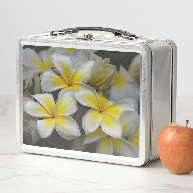 Fotografía de Plumeria, Flor Amarilla (In situ)