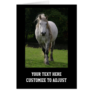 Fotografía de pontón lindo