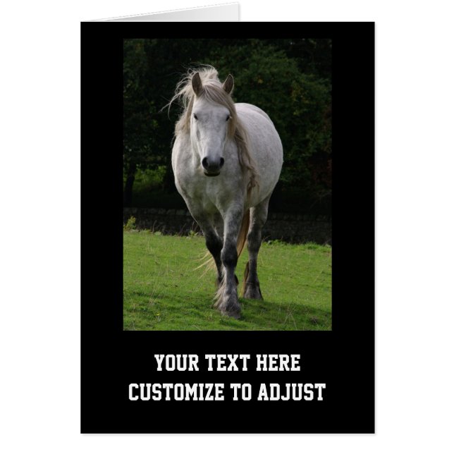 Fotografía de pontón lindo (Frente)