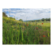 Fotografía de primavera a orillas del río