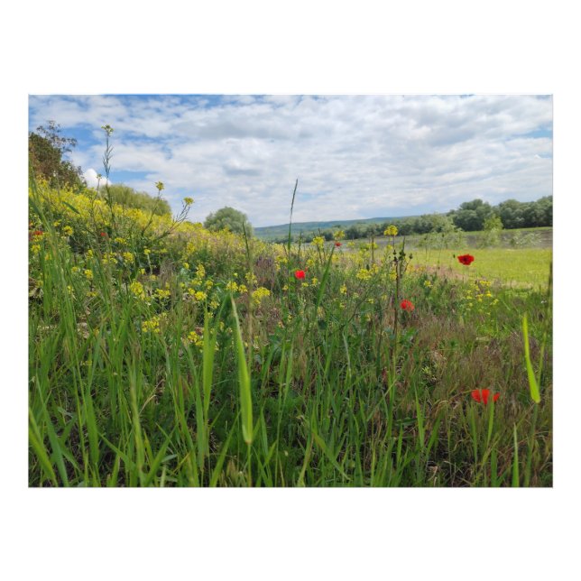 Fotografía de primavera a orillas del río (Frente)