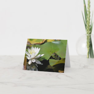 Fotografía de rana y flor de loto de nenúfar 