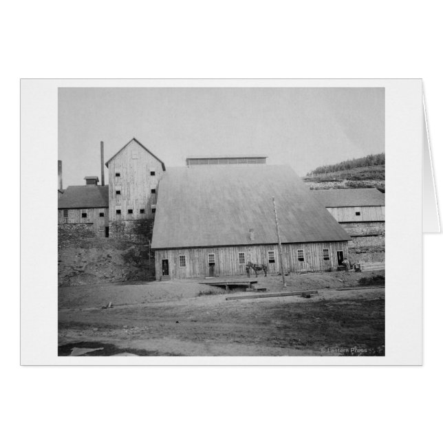 Fotografía de Reducción de Madera Muerta (Anverso (Horizontal))