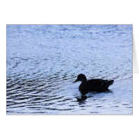 Fotografía de rizos de agua del lago de vida silve