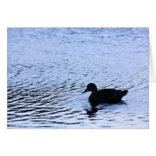 Fotografía de rizos de agua del lago de vida silve