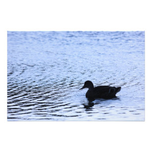 Fotografía de rizos de agua del lago de vida silve
