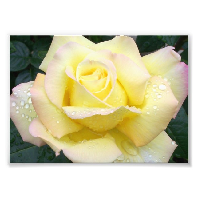 Fotografía de Rosa de la Paz (Frente)