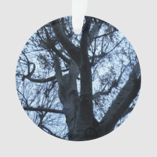 Fotografía de silueta arbórea Ornamento acrílico