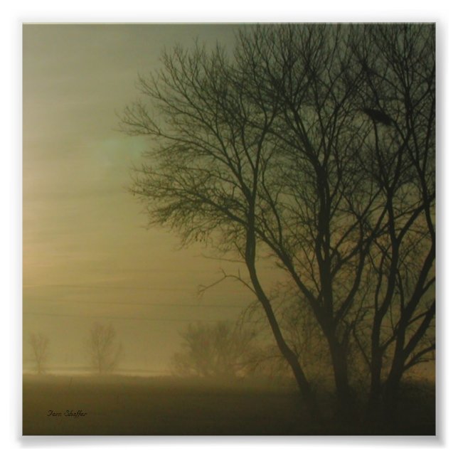 Fotografía de silueta de árbol de amanecer de Cali (Frente)