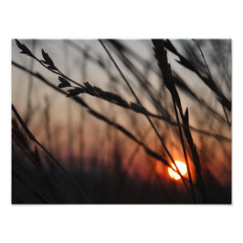 Fotografía de Sunset Photo Kodak