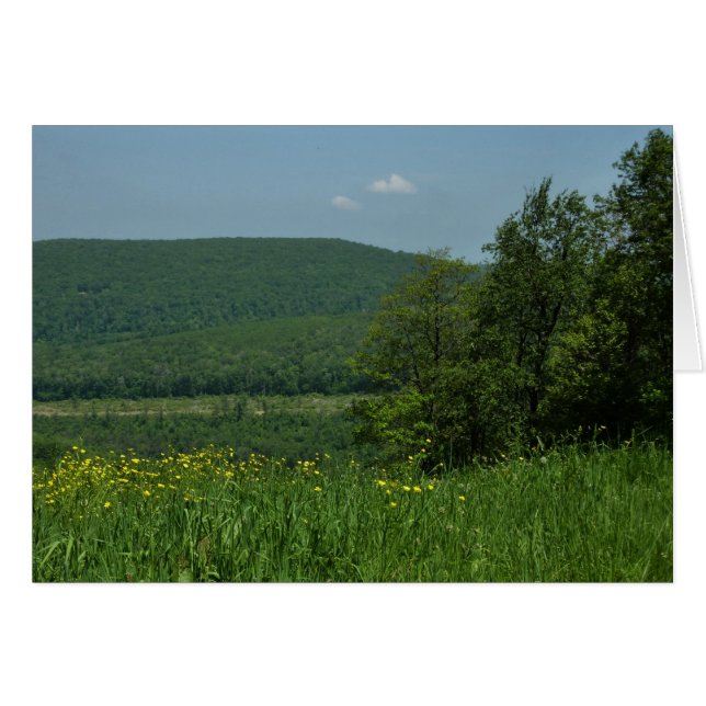 Fotografía de verano de Laurel Highlands Pennsylva (Anverso (Horizontal))