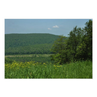 Fotografía de verano de Laurel Highlands Pennsylva