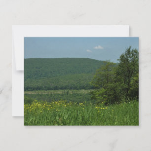 Fotografía de verano de Laurel Highlands Pennsylva