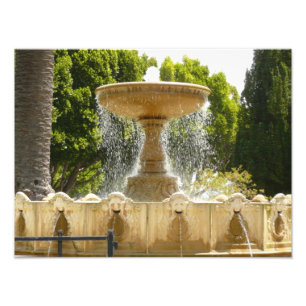 Fotografía de viajes de la Fuente de Sausalito Cal