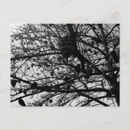 Fotografía de vida salvaje en tarjeta de naturalez