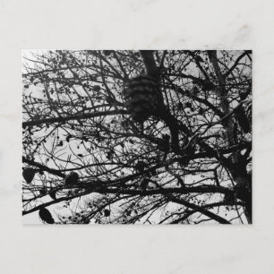 Fotografía de vida salvaje en tarjeta de naturalez