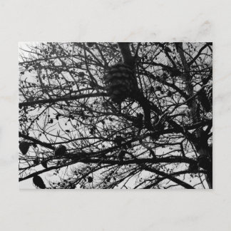 Fotografía de vida salvaje en tarjeta de naturalez