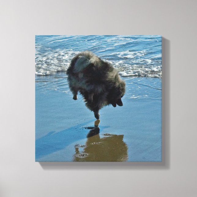 Fotografía del Ballet Keeshond - Arte de Perro Ori (Anverso)