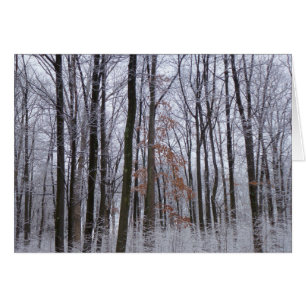 Fotografía del paisaje invernal de la nieve desech