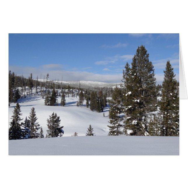 Fotografía del paisaje invernal de Yellowstone (Anverso (Horizontal))