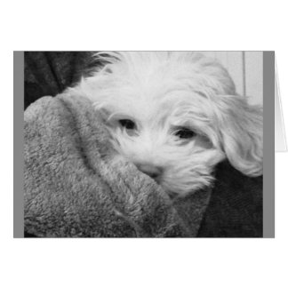 Fotografía en blanco y negro