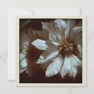 Fotografía floral de Clematis 2 Invitación funerar