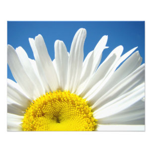Fotografía floral de la naturaleza Impresiones dec