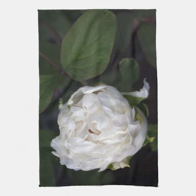 Fotografía floral de Peony Blanco - Toallas de coc (Vertical)