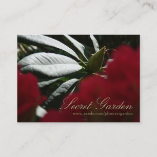 Fotografía floral de Rhododendron - Tarjetas de vi