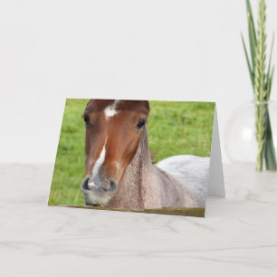 Fotografía galesa Tarjeta de cumpleaños